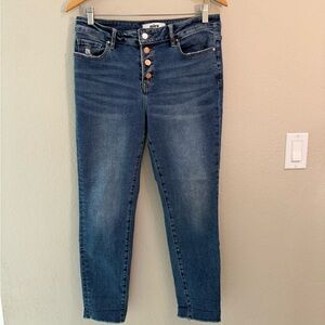Mica Denim High Rise Button Fly Skinny Jeans Women’s Size 30 Blue